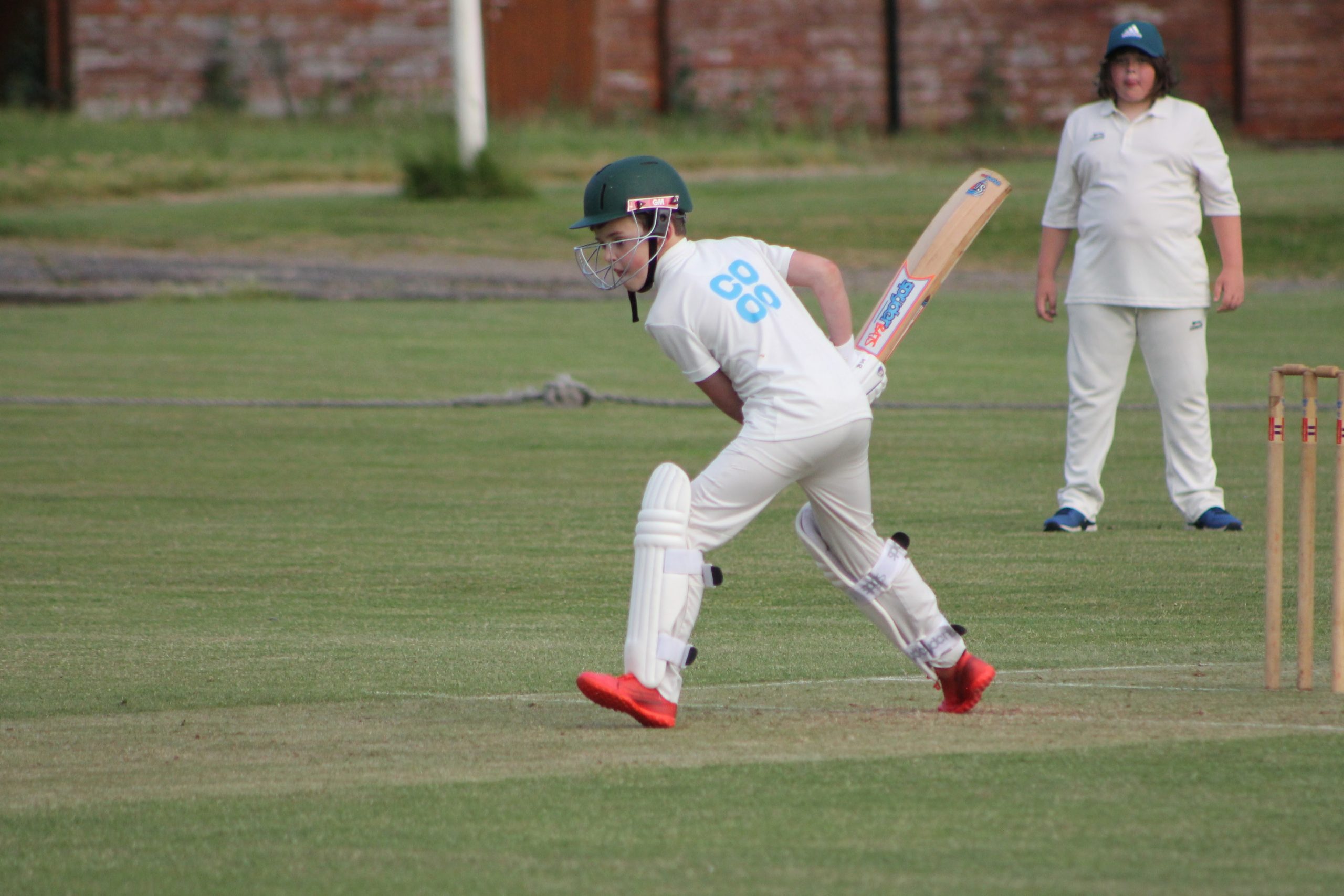 kinglsey cc junior cricket team